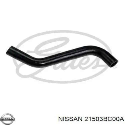 21503BC00A Nissan