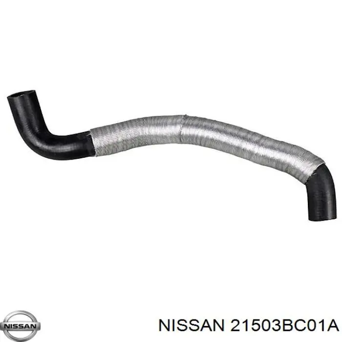 21503BC01A Nissan