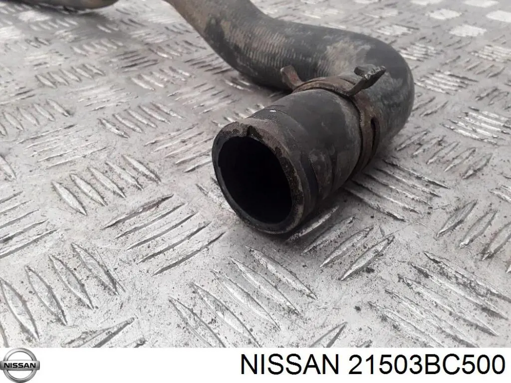 21503BC500 Nissan manguera refrigerante para radiador inferiora