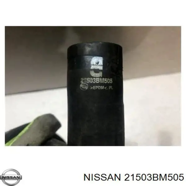 Manguera inferior del radiador 21503BM505 Nissan/Infiniti