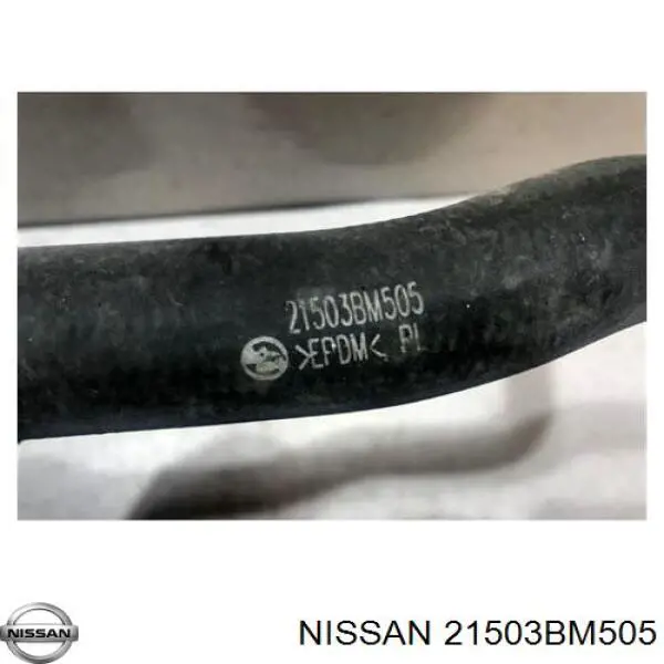 Manguera inferior del radiador Nissan/Infiniti 21503BM505 precio, desde 18,36 EUR