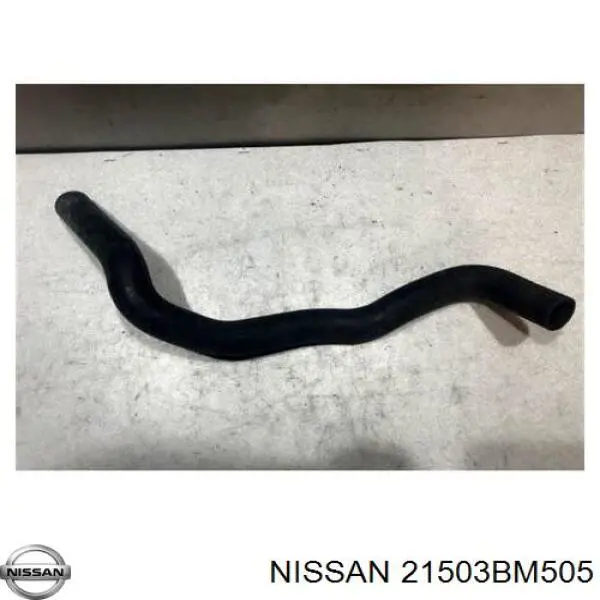 Comprar 21503BM505 Nissan/Infiniti Manguera inferior del radiador