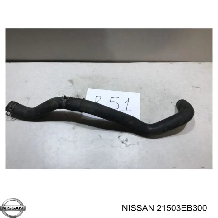 Manguera inferior del radiador 21503EB300 Nissan/Infiniti