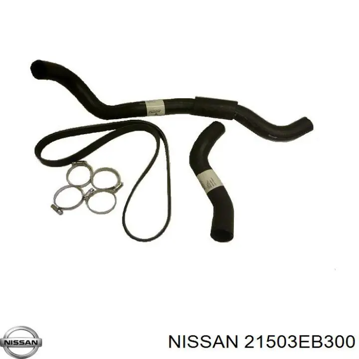 Manguera refrigerante para radiador inferiora para Nissan Pathfinder (R51M)