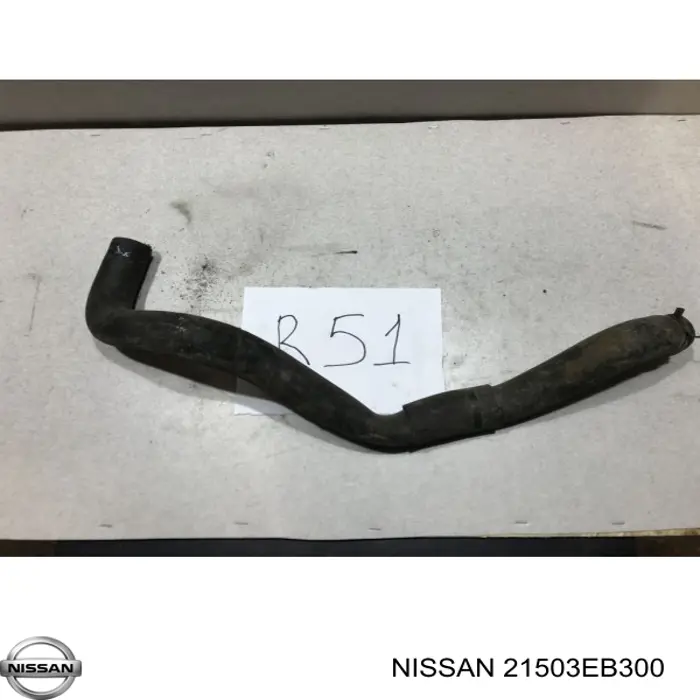 Comprar 21503EB300 Nissan/Infiniti Manguera inferior del radiador
