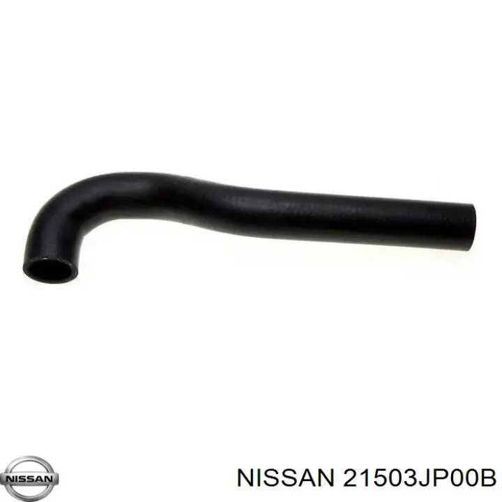 21503JP00B Nissan/Infiniti Manguera inferior del radiador