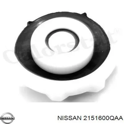 2151600QAA Nissan tapón, depósito de refrigerante