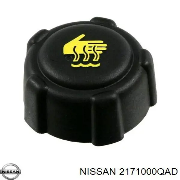 Comprar 7701206774 Renault (RVI) Deposito expansion