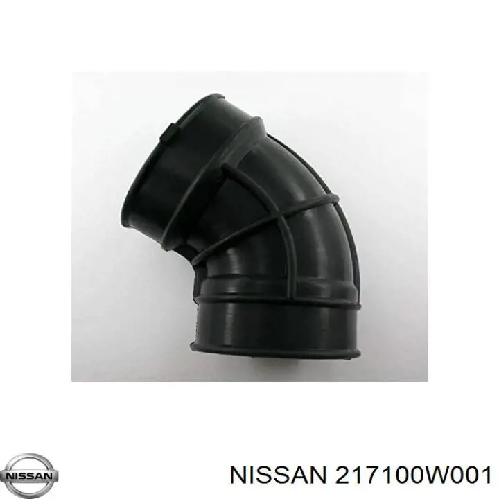 217100W001 Nissan vaso de expansión