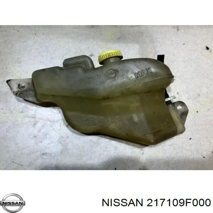 217109F000 Nissan vaso de expansión