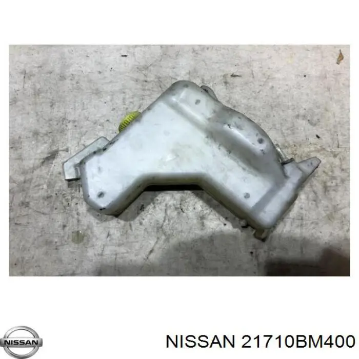 Botella expansion Nissan/Infiniti 21710BM400 precio, desde 39,20 EUR