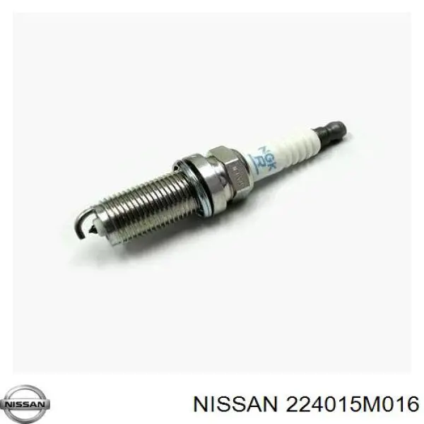 224015M016 Nissan bujía de encendido