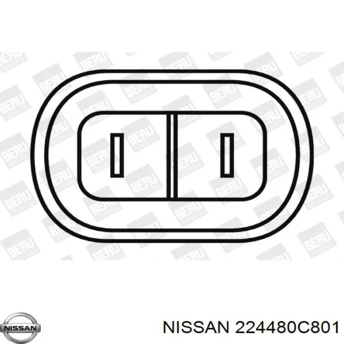 224480C801 Nissan bobina