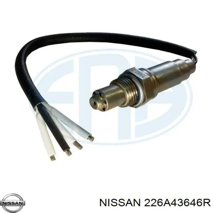 226A43646R Nissan