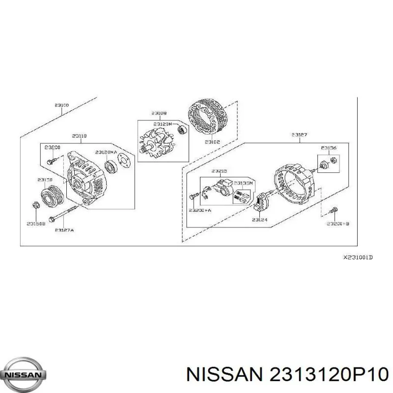 2313120P10 Nissan