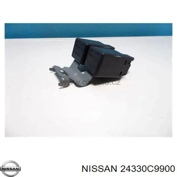 24330C9900 Nissan