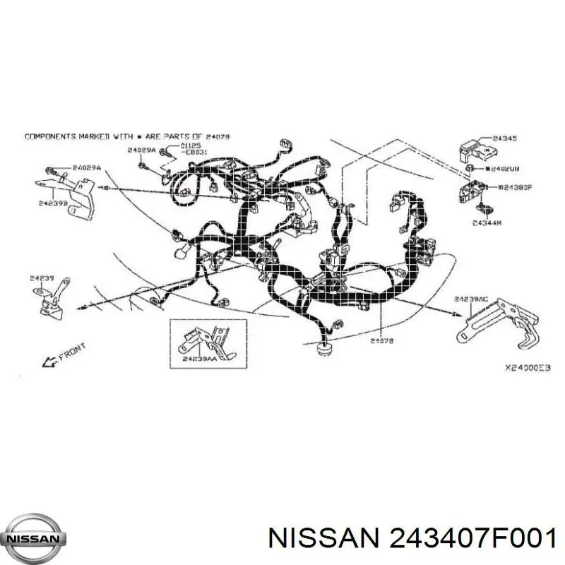 243407F001 Nissan