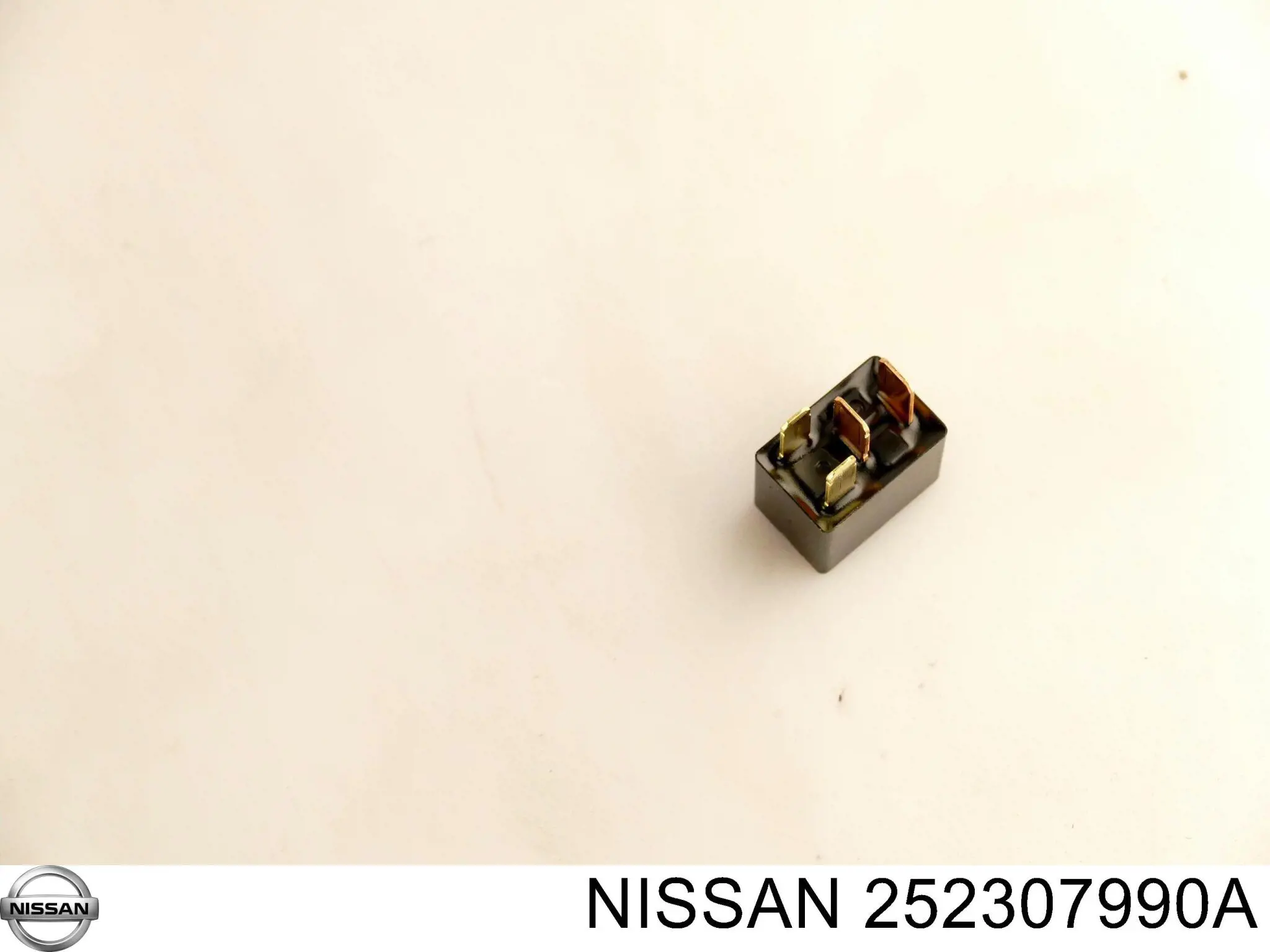 252307990A Nissan