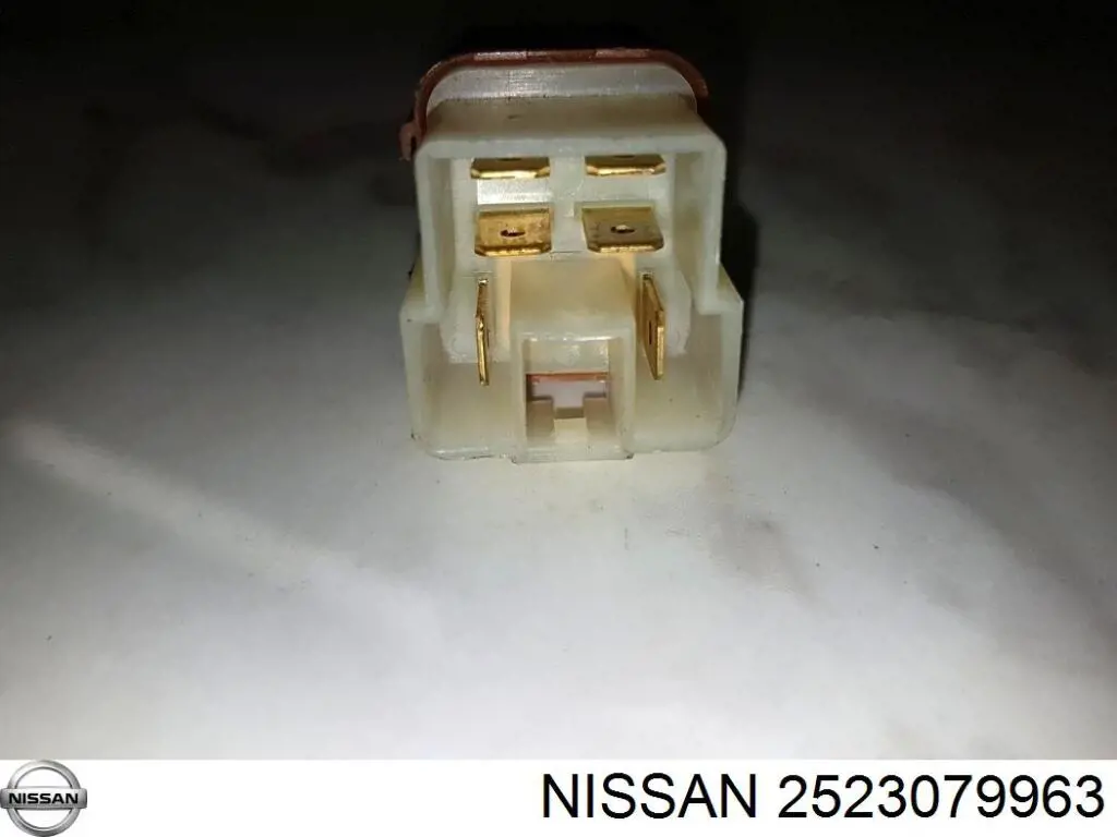 2523079963 Nissan