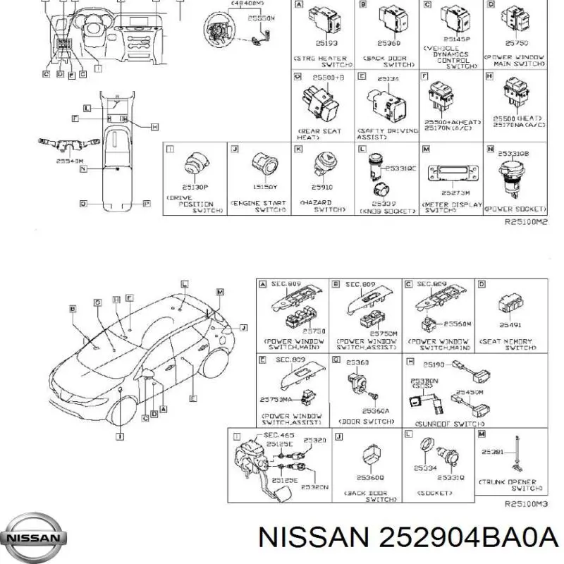 252904BA0A Nissan