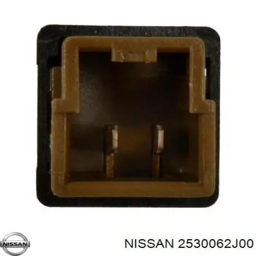 2530062J00 Nissan