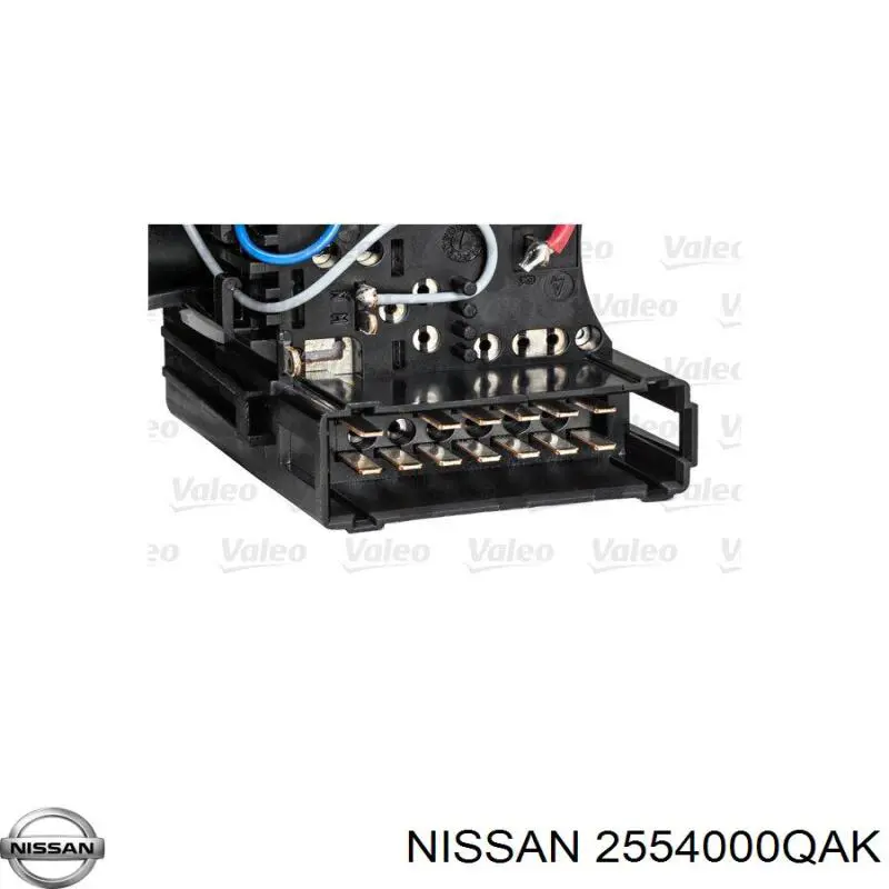 2554000QAK Nissan