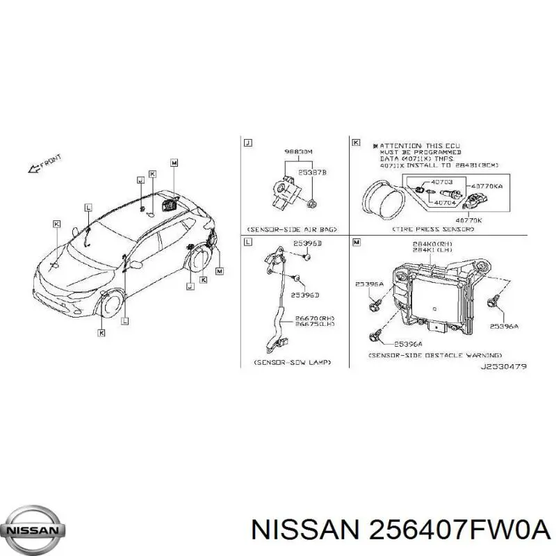 256407FW0A Nissan