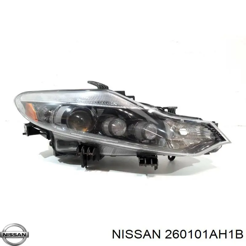 Faro derecho Nissan Murano SUV (Z51) (2008 - 2014) precio, desde 905,76 EUR