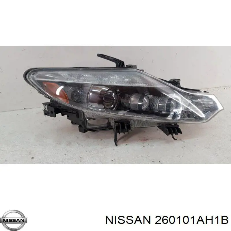 Comprar Faro derecho Nissan Murano  Z51