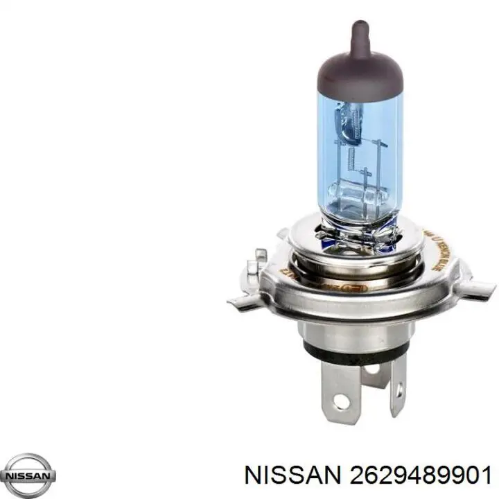 2629489901 Nissan