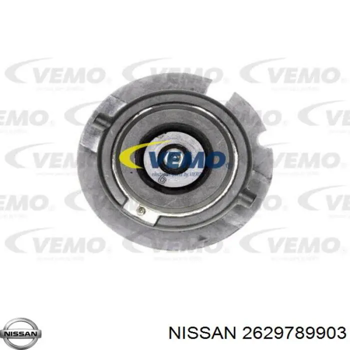  Nissan/Infiniti 2629789900