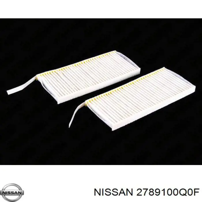 2789100Q0F Nissan/Infiniti Filtro antipolen