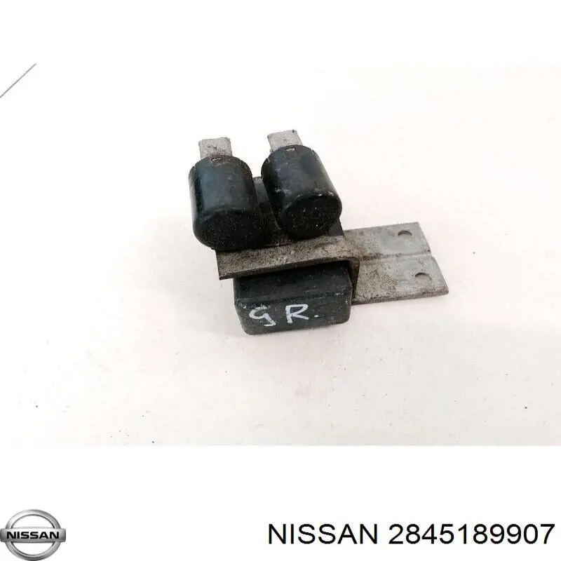 2845189907 Nissan/Infiniti