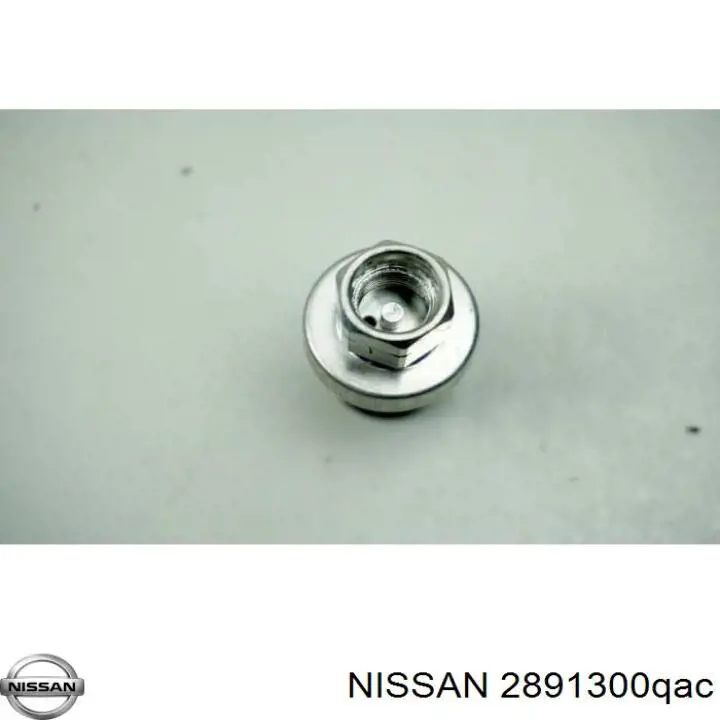 2891300QAC Nissan