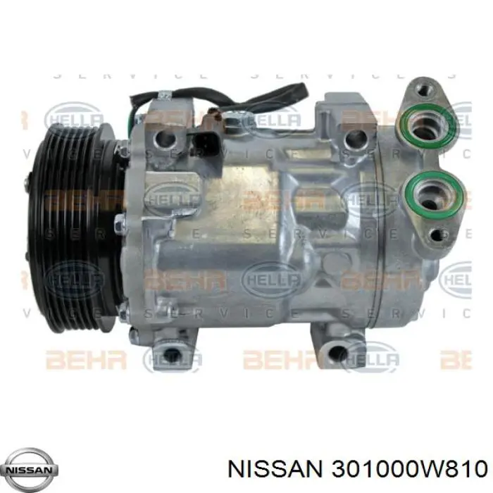 301000W810 Nissan