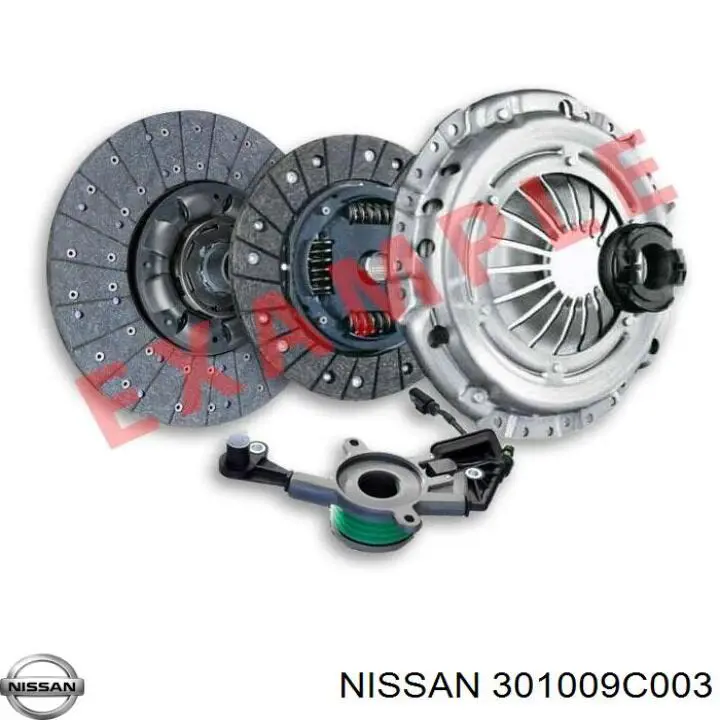 301009C003 Nissan