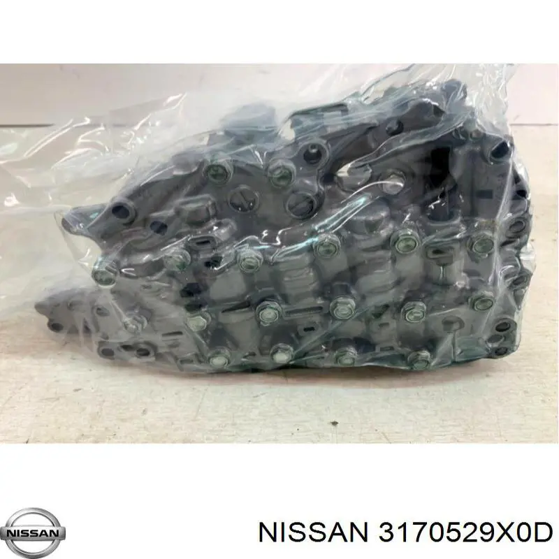 3170529X0D Nissan