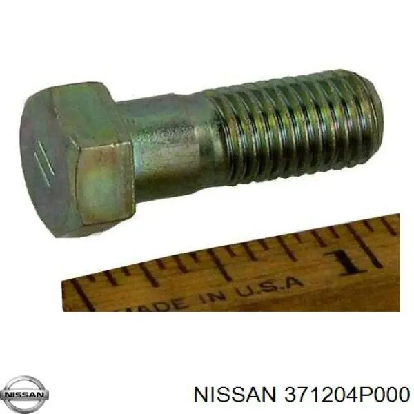 371204P000 Nissan