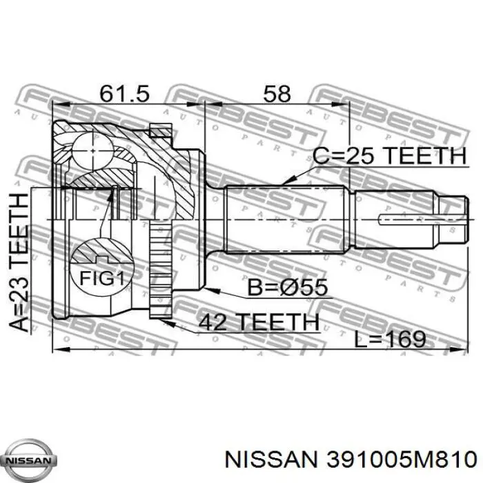 391005M810 Nissan junta homocinética exterior delantera