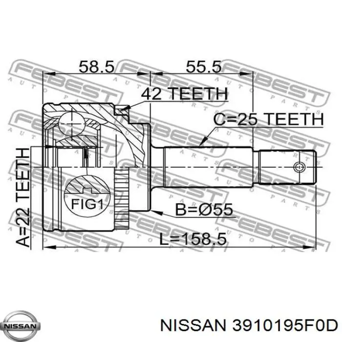 XX3910195F0D Market (OEM)