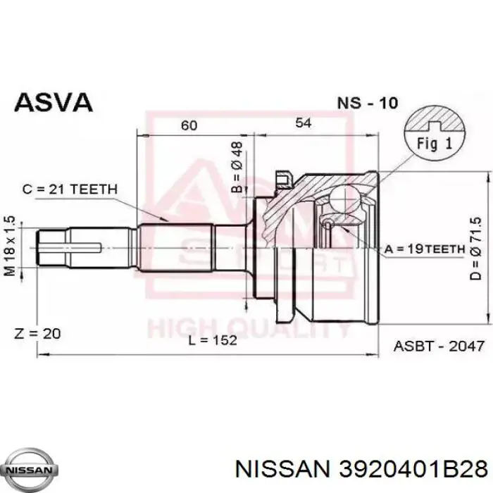 3920401B28 Nissan junta homocinética exterior delantera