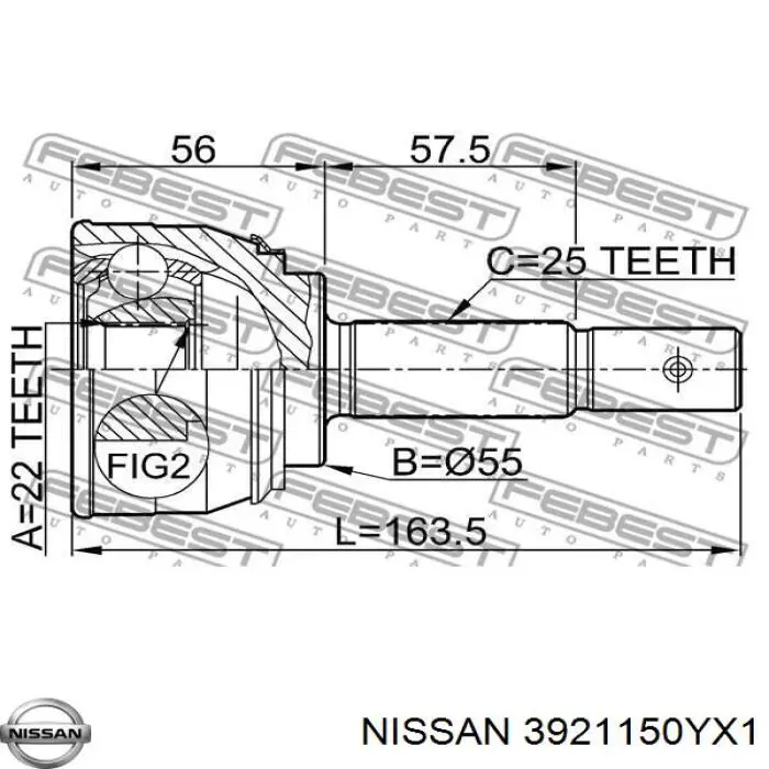 3921150YX1 Nissan junta homocinética exterior delantera