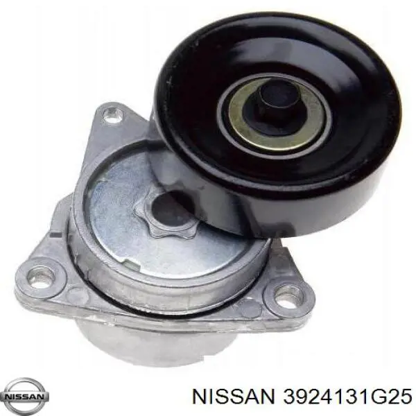 3924131G25 Nissan/Infiniti Fuelle transmisión delantero exterior
