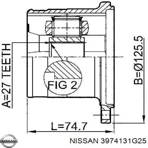 3974131G25 Nissan junta homocinética interior delantera