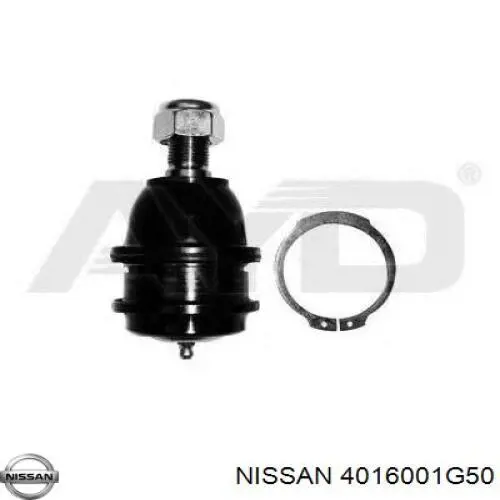 4016001G50 Nissan rótula de suspensión inferior