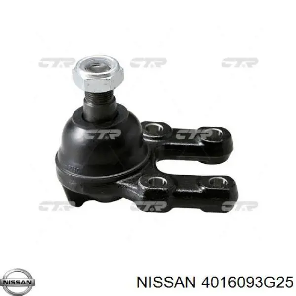 4016093G25 Nissan rótula de suspensión inferior