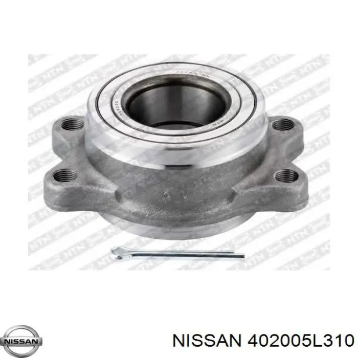 402005L310 Nissan/Infiniti Cubo delantero