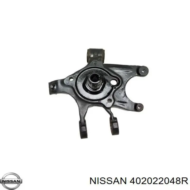 402022048R Nissan cubo de rueda delantero