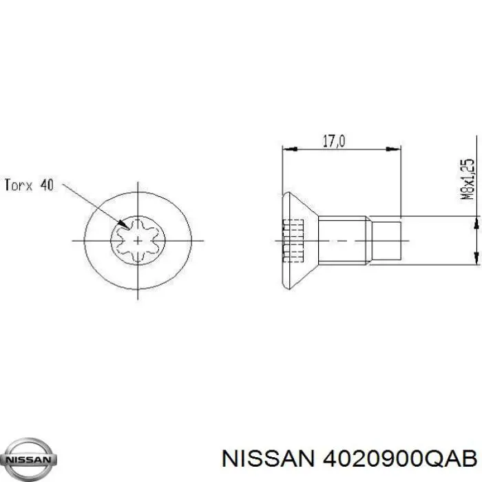 Tornillo de la pinza de freno 4020900QAB Nissan/Infiniti