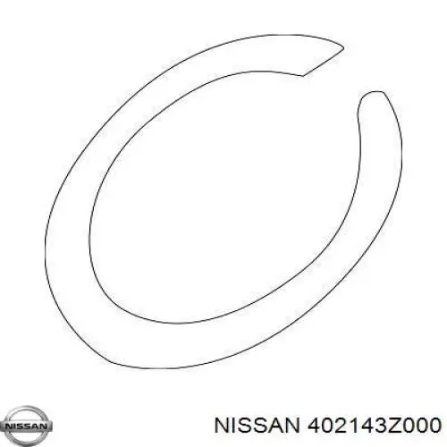 402143Z000 Nissan